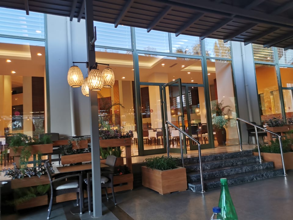 Gastro Arum Barut Collection