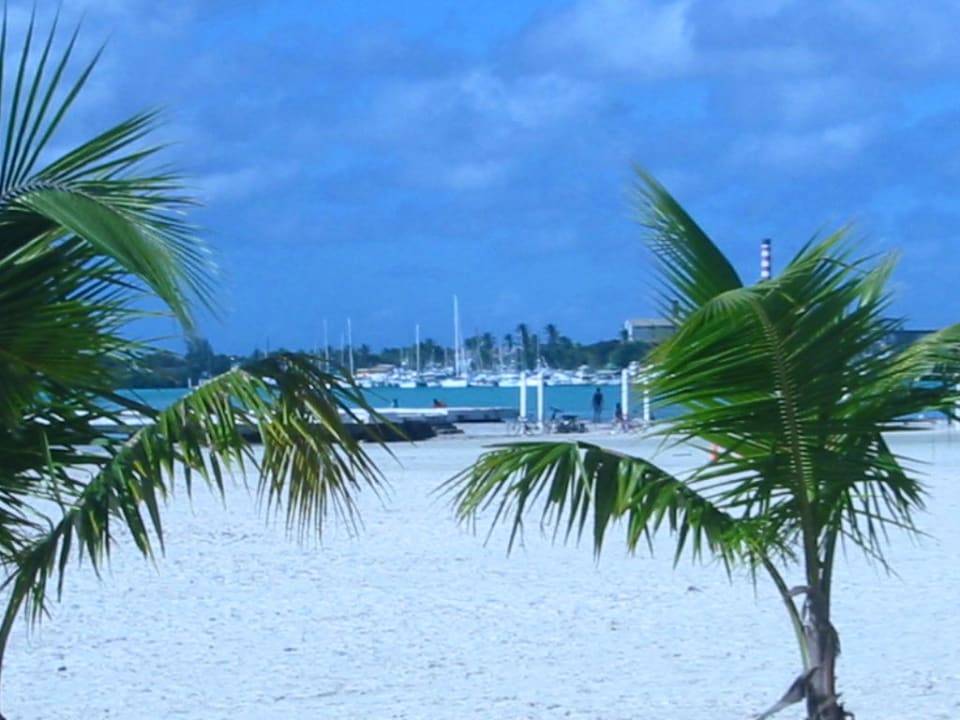 Der Hafen von Boca Chica! BelleVue Dominican Bay