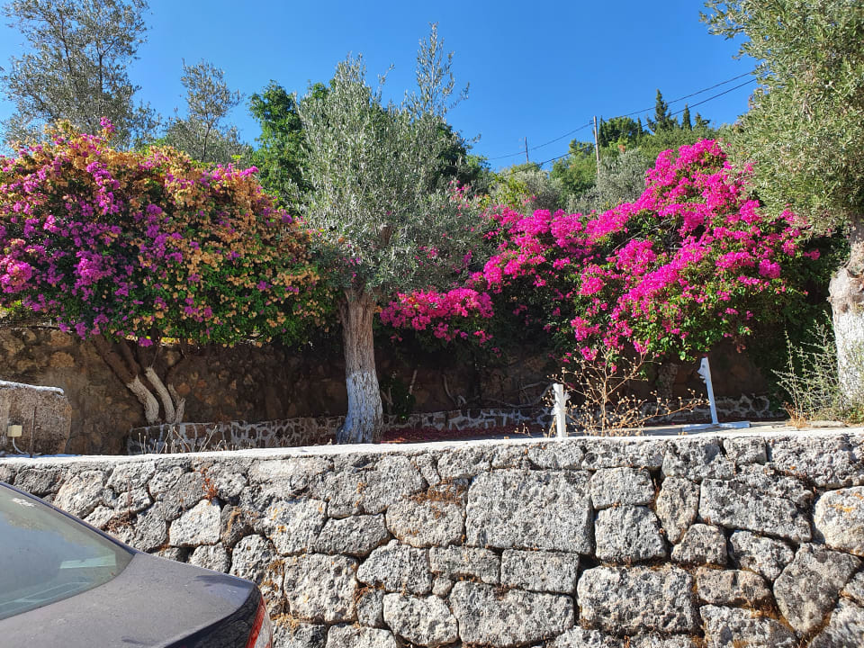Sonstiges Atlantica Mikri Poli Rhodes