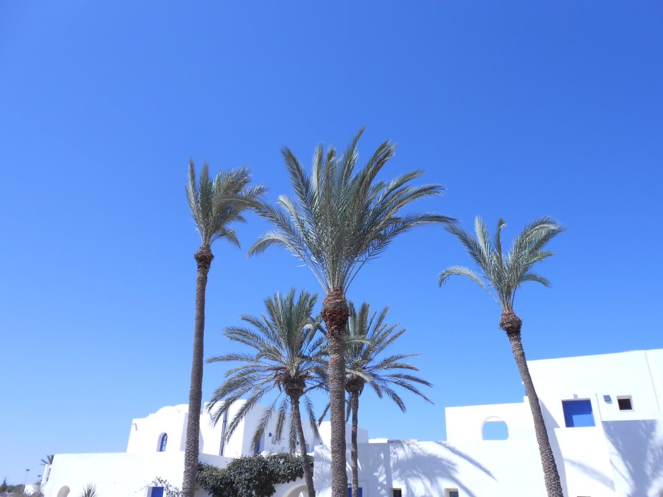 Pool Ausblick Djerba Sun Beach Hotel & Spa