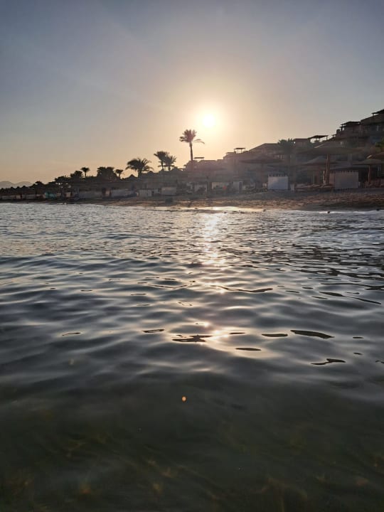 Strand Shams Prestige Abu Soma-Adults Only