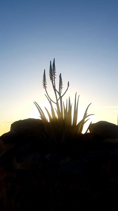 Außenansicht Bahia Principe Sunlight Costa Adeje