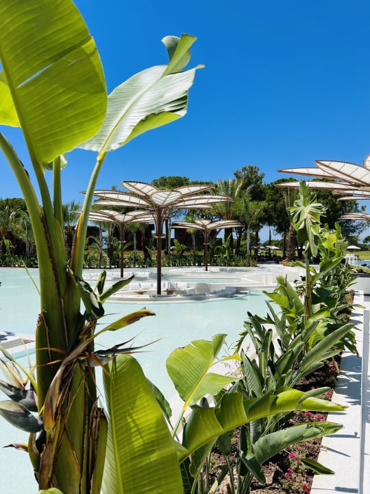 Pool Cullinan Belek