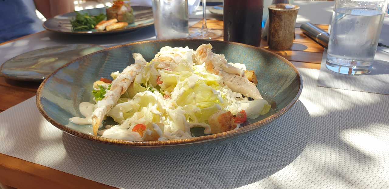 Gastro JAZ Elite Asteria