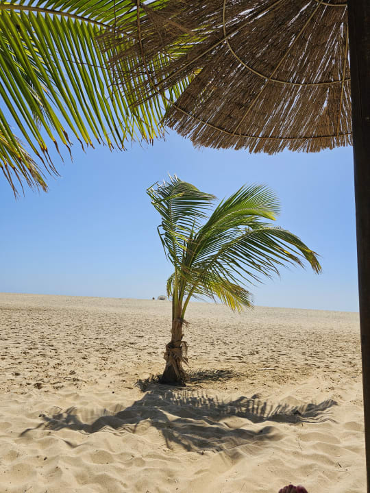 Strand Hotel Riu Palace Santa Maria