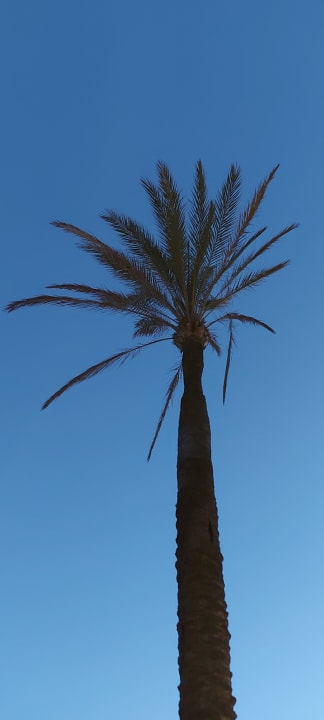 Strand Hostal Villa Cati