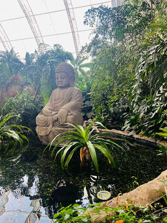 Gartenanlage Tropical Islands Resort