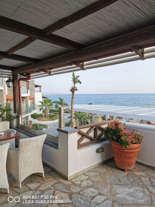 Ausblick Alexander Beach Hotel & Village Resort