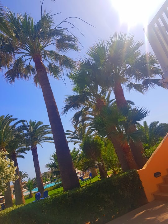 Gartenanlage Anissa Beach & Village