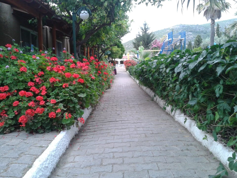 Front of room Hotel  Pigale