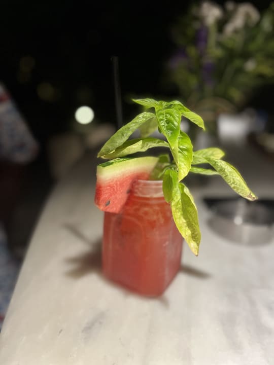 Gastro PALOMA Perissia