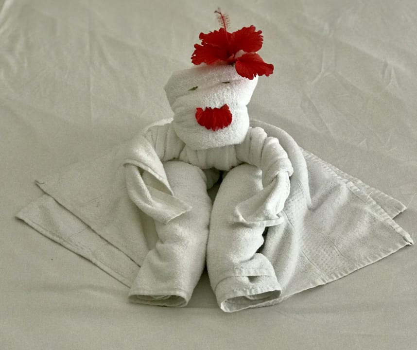 Zimmer Brisas Guardalavaca Hotel & Villas