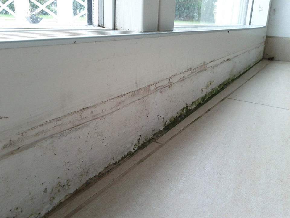 Schimmel im Poolraum Dancenter Ferienhäuser