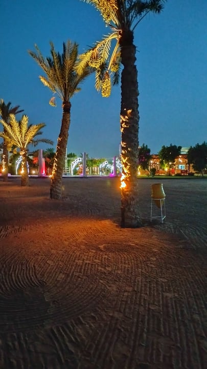 Ausblick Lemon & Soul Makadi Garden