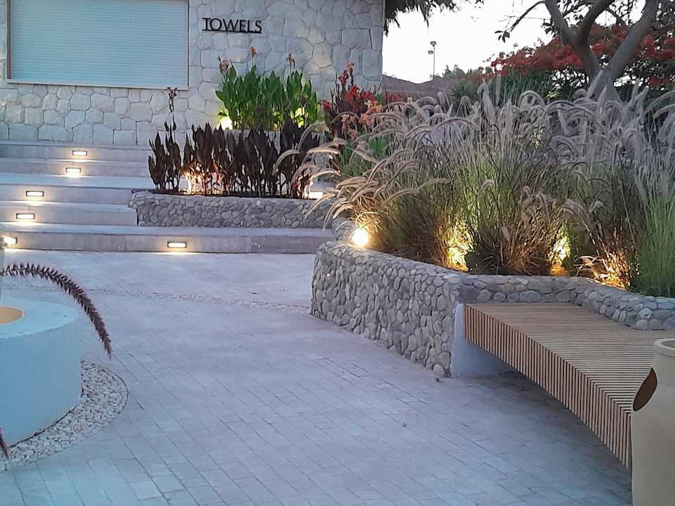 Gartenanlage Desert Rose