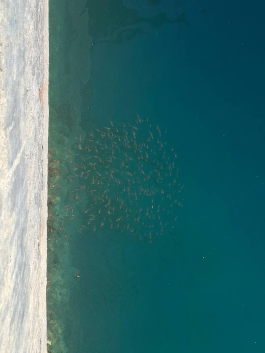 Strand Sindbad Club