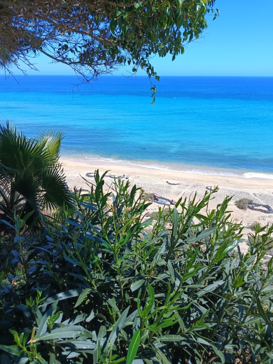 Gartenanlage Marina Playa Suite Hotel