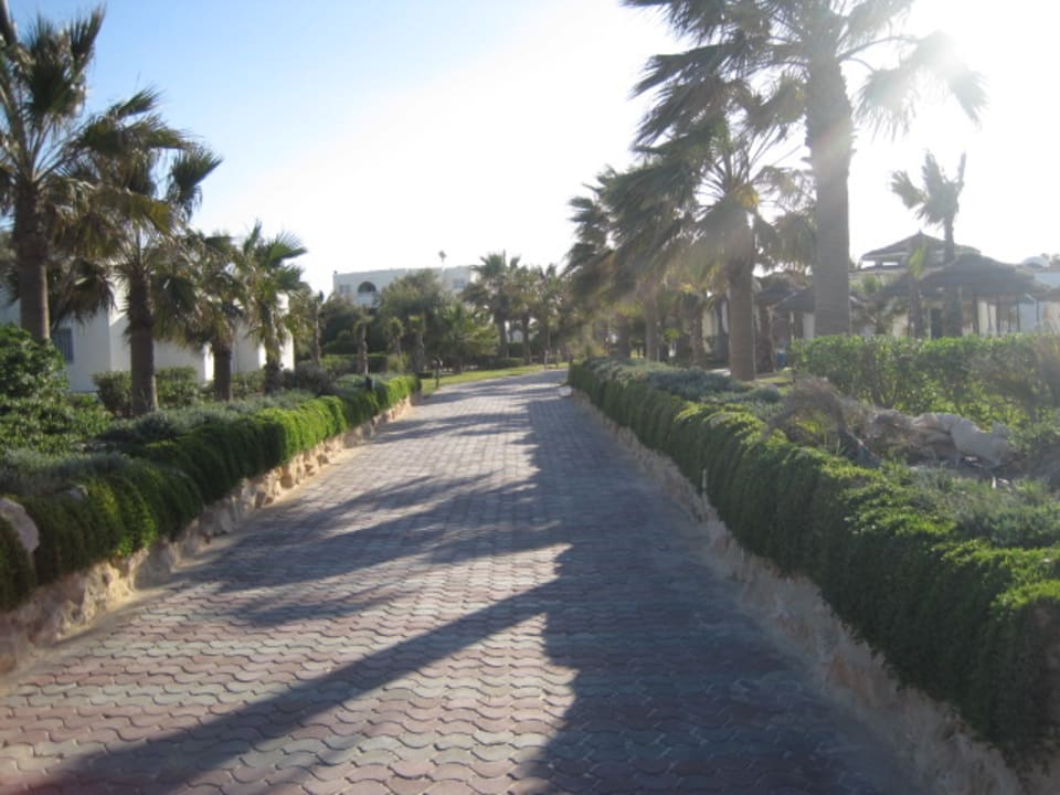 Gartenanlage TUI MAGIC LIFE Penelope Beach
