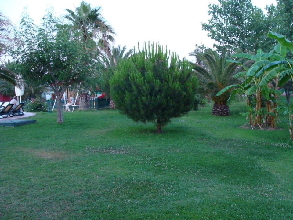 Park zwischen den Häusern Güral Premier Belek