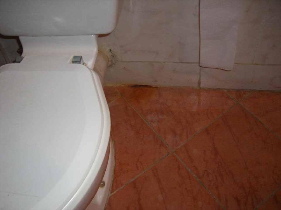 Unser WC Arabia Azur Resort