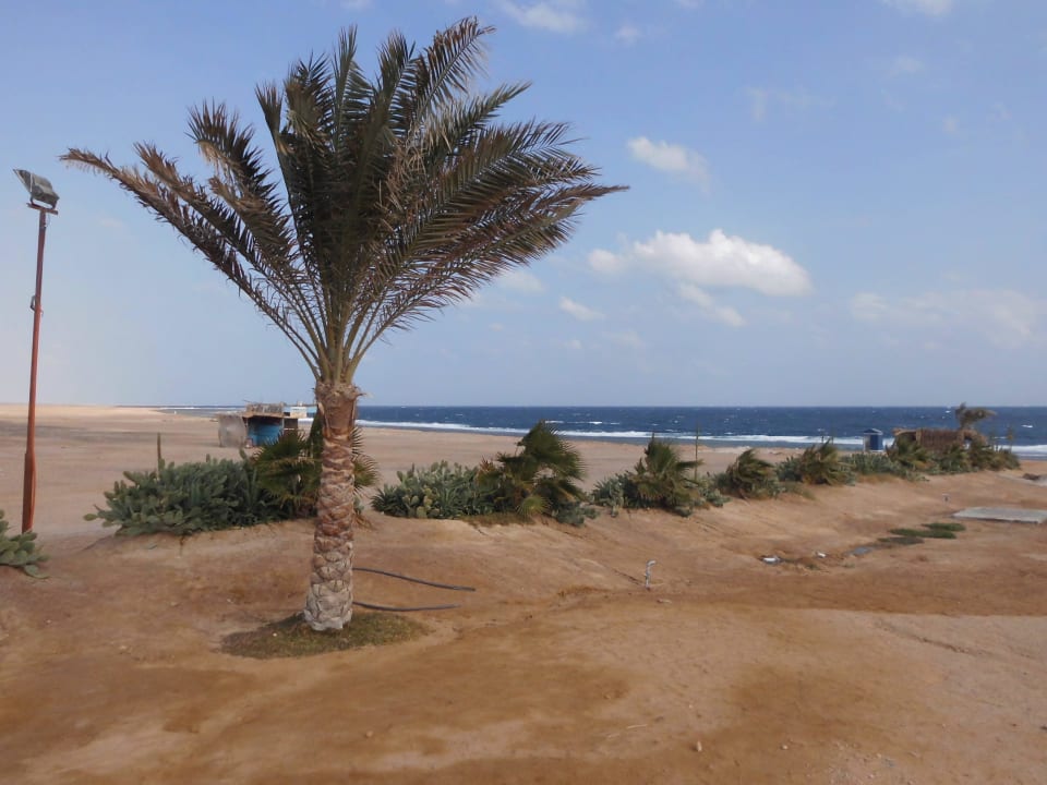 Three Corners Sea Beach Three Corners Sea Beach Resort