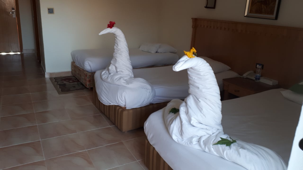 Zimmer Pickalbatros Alf Leila Wa Leila Resort - Neverland Hurghada