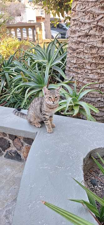 Gartenanlage Hotel Zephyros