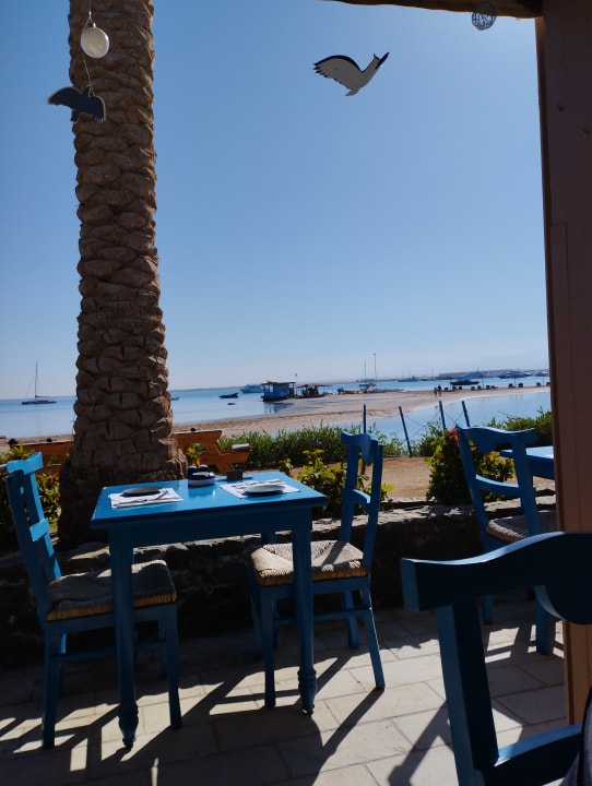 Gastro Club Paradisio El Gouna, Red Sea