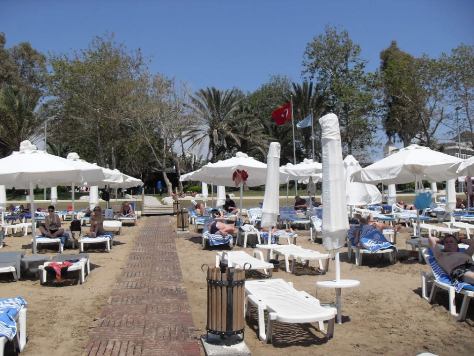 Strand Side Star Elegance