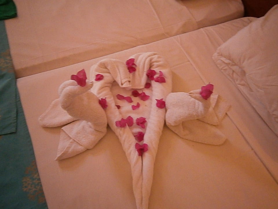 Nur bei trinkgeld  Amphoras Blu