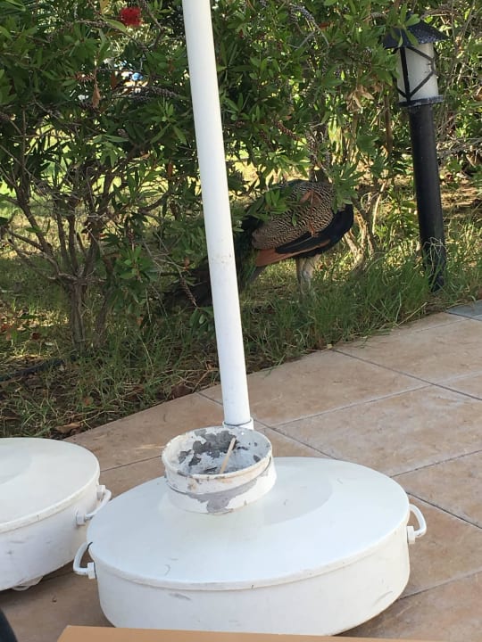 Fasan Seaden Sea World Resort & Spa