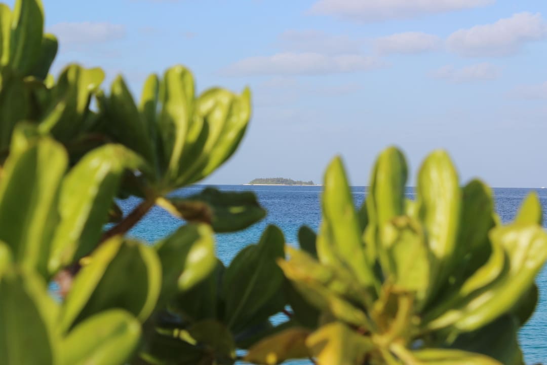Schön Summer Island Maldives