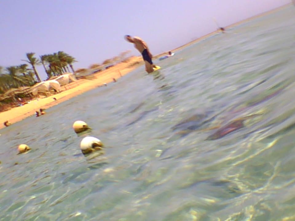 Strand Grand Waterworld Makadi & Family Star Makadi