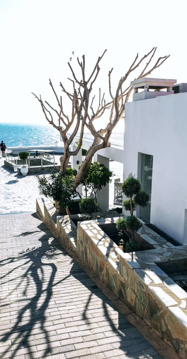 Gartenanlage Peninsula Resort & Spa