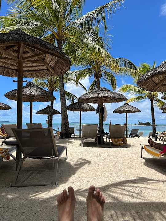 Sonstiges Zilwa Attitude