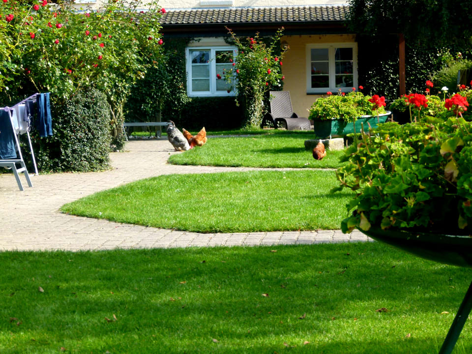 Gartenanlage Ferienbauernhof Liesenberg mit Meerblick