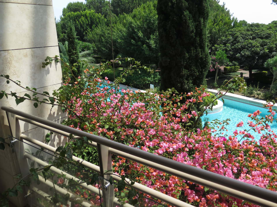 Blick vom Balkon Gloria Serenity Resort