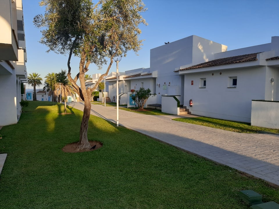 Gartenanlage blau punta reina