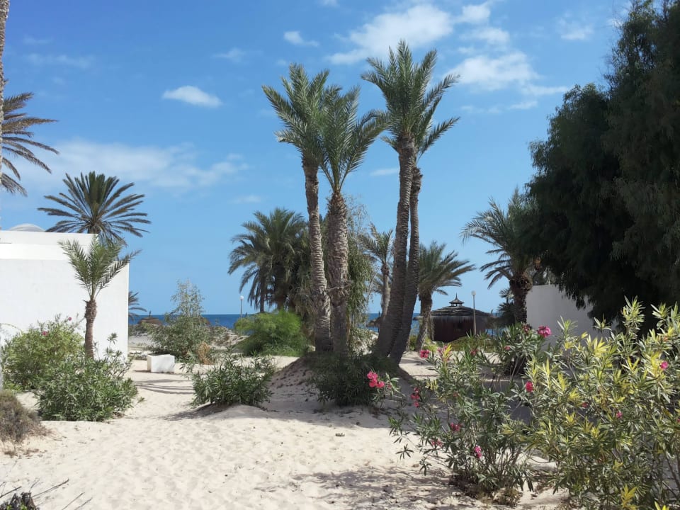 Blick vom Garten in Richtung Meer Hotel El Mouradi Djerba Menzel