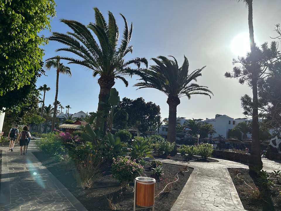 Außenansicht allsun App.-Hotel Albatros