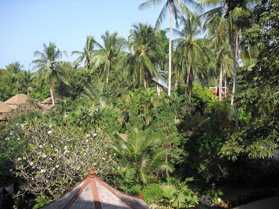 Unser Blick vom Zimmer The Fair House Beach Resort