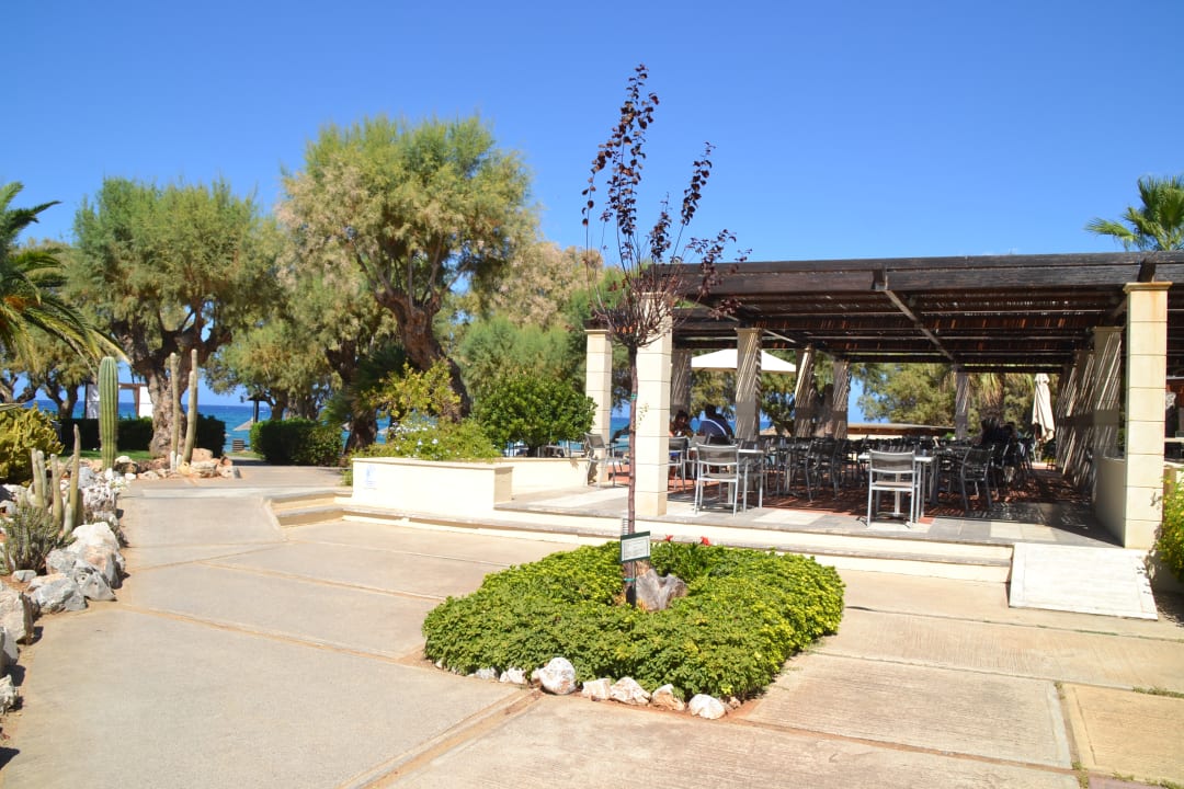 Restaurant Phãea Cretan Malia