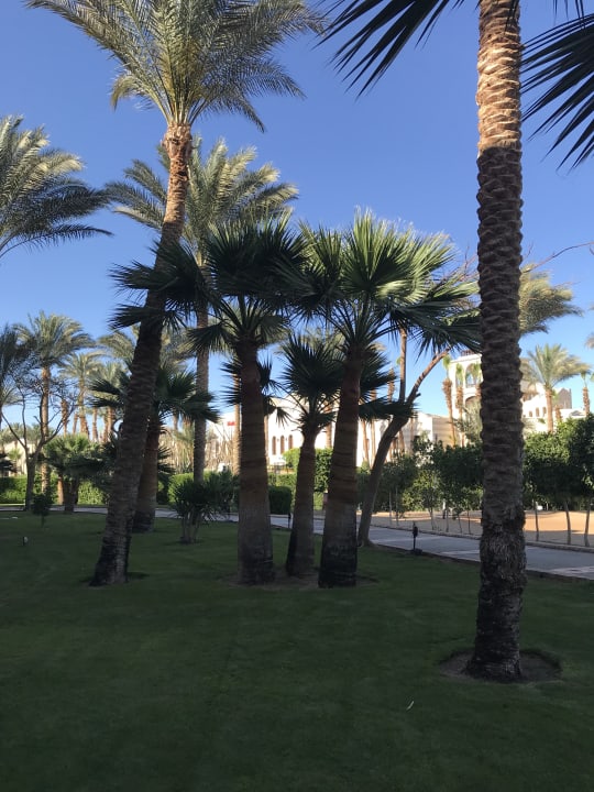 Zimmer Jaz Makadi Oasis Resort