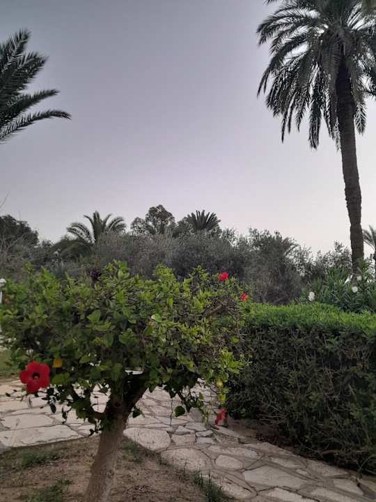 Gartenanlage Marhaba Royal Salem