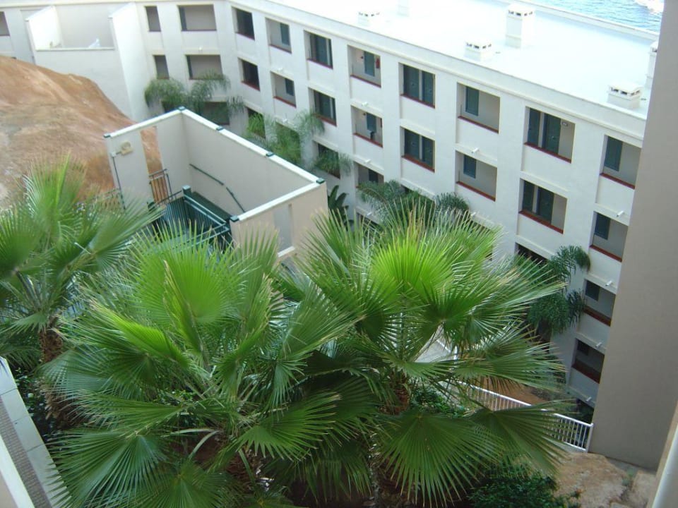 Aussenanlage Hotel Riu Vistamar