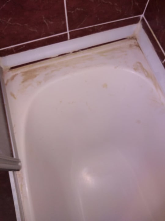 Zimmer Side Miami Beach