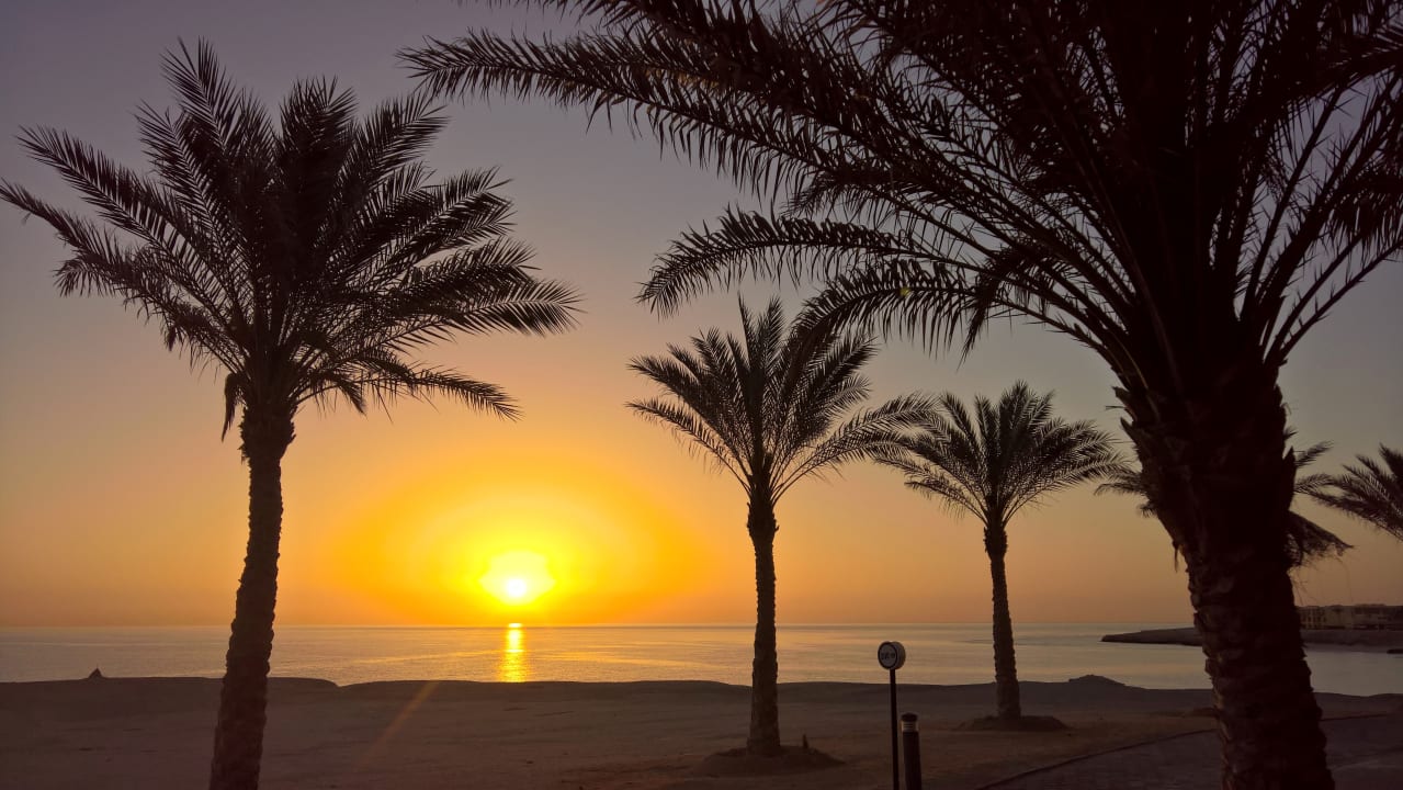 Strand Steigenberger Coraya Beach - Adults only