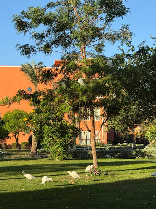 Außenansicht Sentido Caribbean World Soma Bay