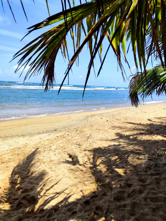 Strand Pahalage Guesthouse