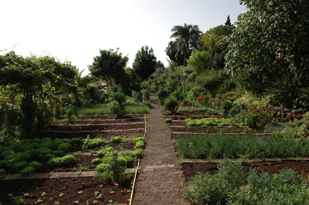 Kräutergarten Hotel Quinta Splendida Wellness & Botanical Garden